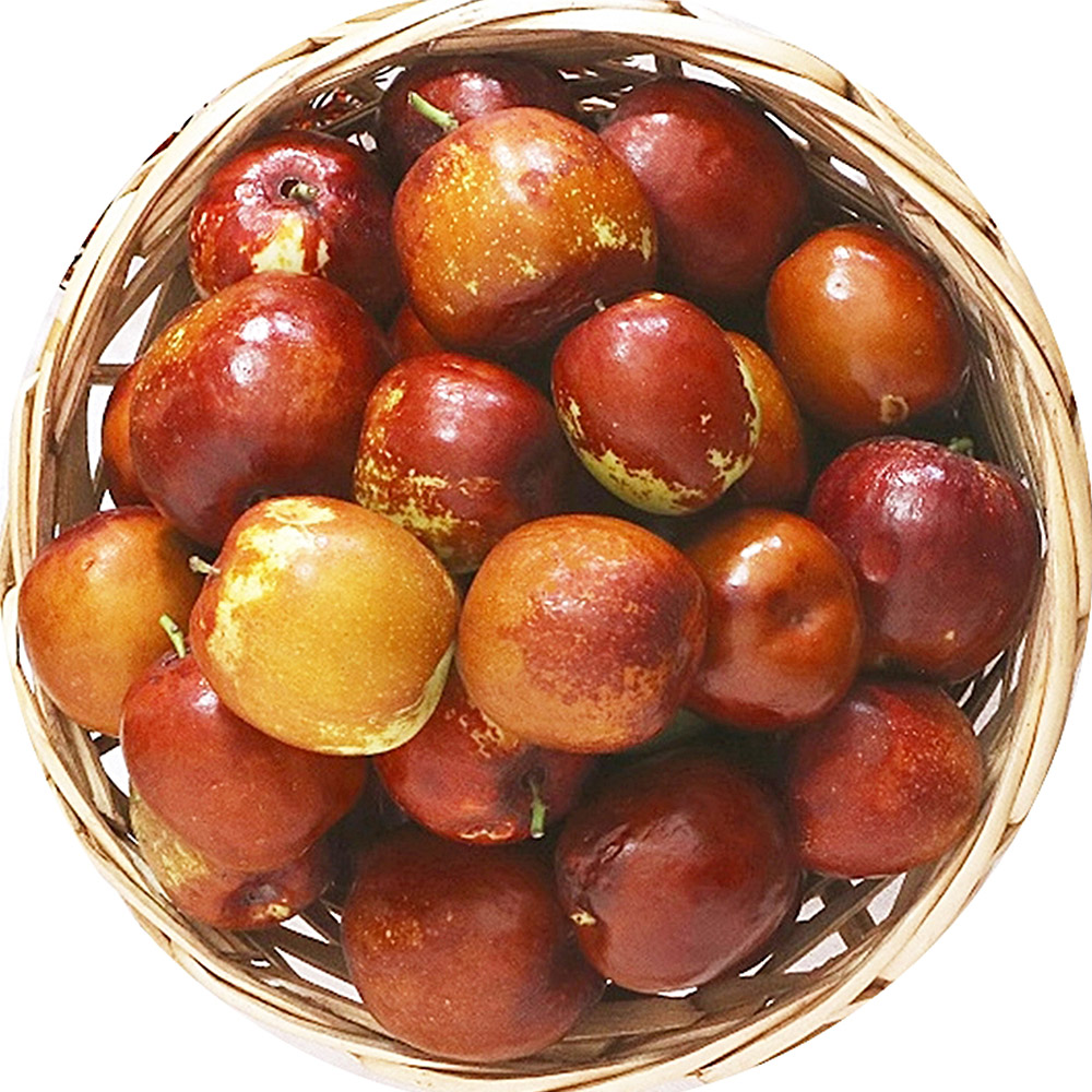 [산지직송] 대추 한알 사과같은 대추 사과 대추 500g 1kg 상 특 왕 사이즈
