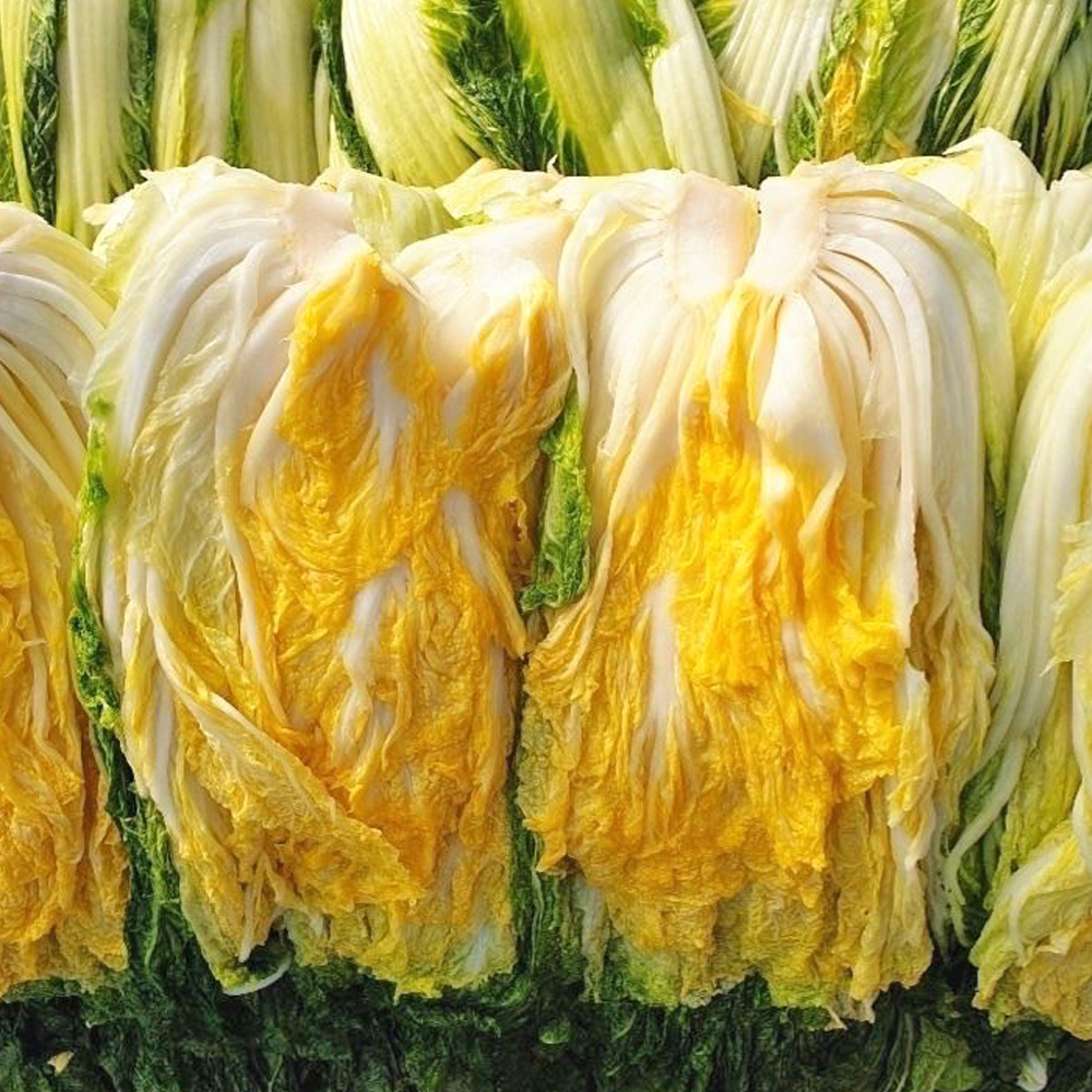 명품 해남 절임배추 20kg 홍갓포함 절인배추