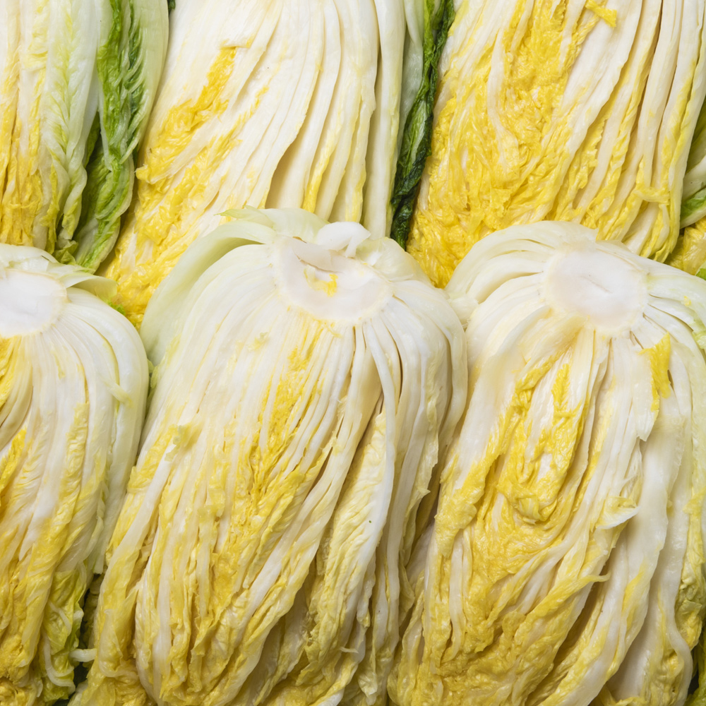 명품 해남 절임배추 20kg 홍갓포함 절인배추