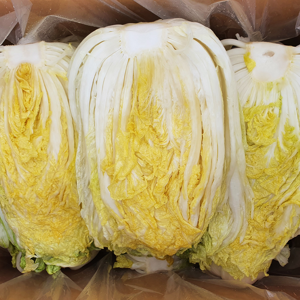 명품 해남 절임배추 20kg 홍갓포함 절인배추