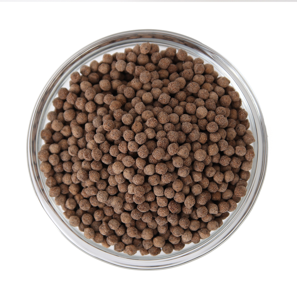 인산죽염 사리장환 [200g]