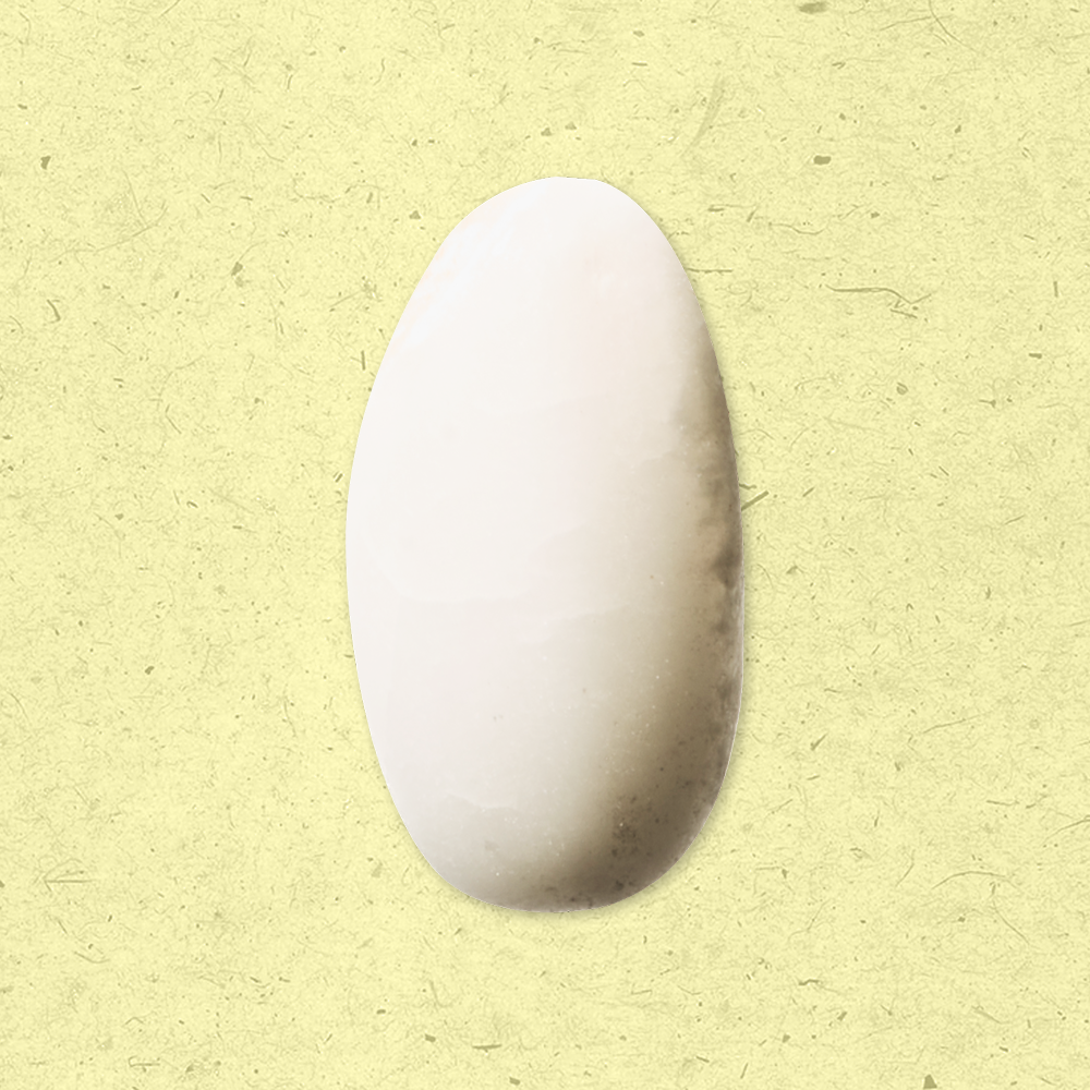 국산 유기농 찹쌀 1kg