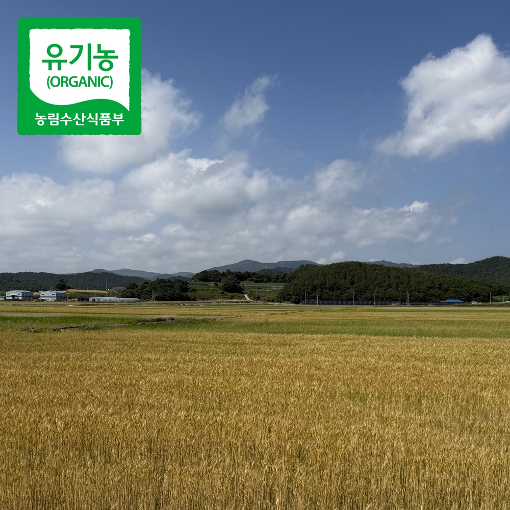 국산 유기농 찹쌀 1kg