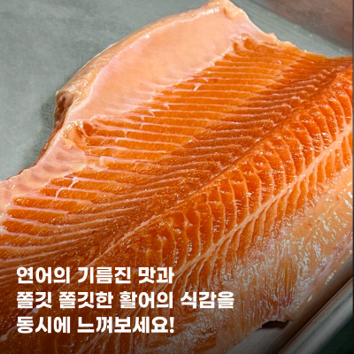 국내산 '일타송어' 필렛 500g