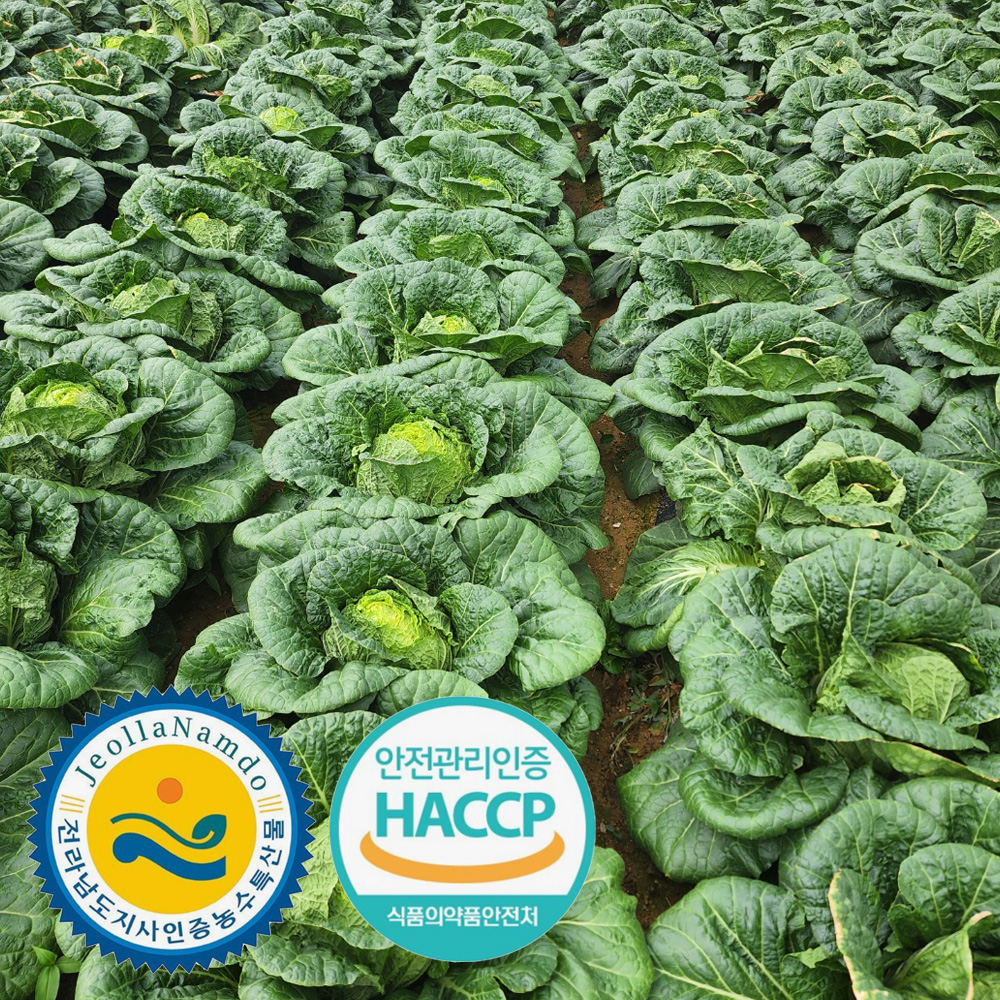 [주문예약] 해썹 전남도지사인증 해남 절임배추 20kg 국내산 천일염 7-10포기