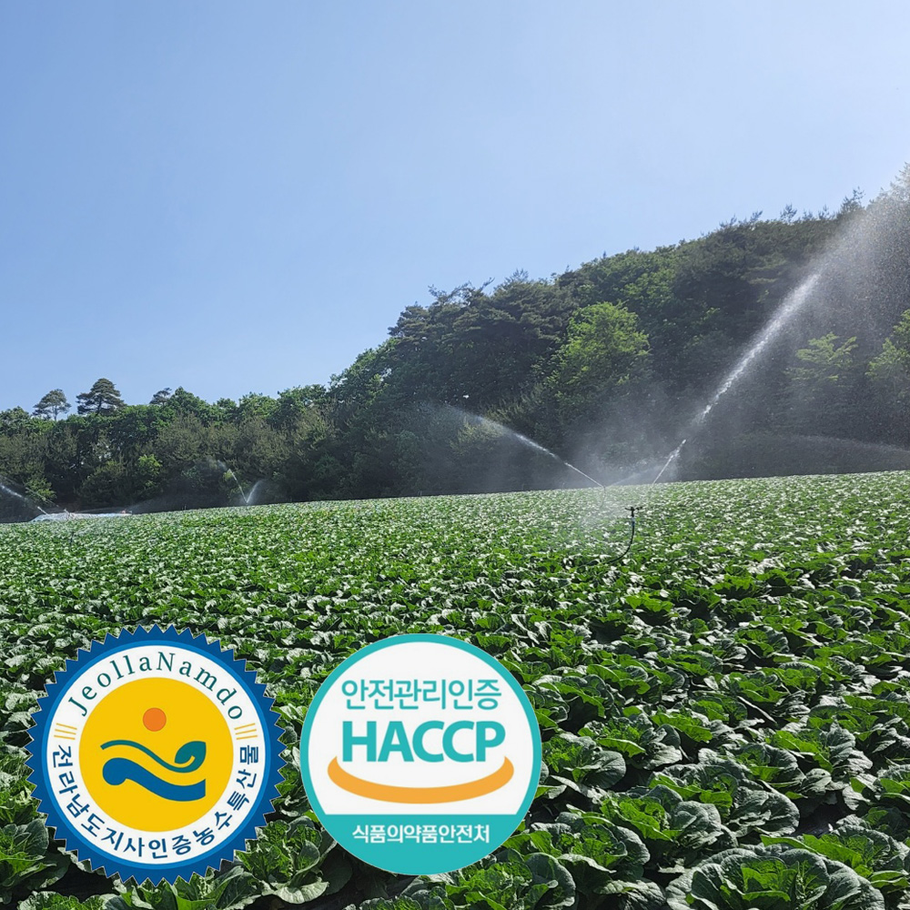 [주문예약] 해썹 전남도지사인증 해남 절임배추 20kg 국내산 천일염 7-10포기