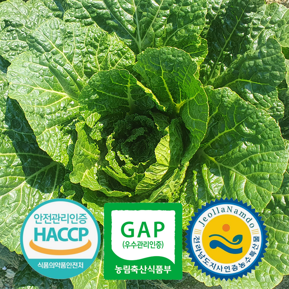 [예약배송] 3개인증 GAP HACCP 전남도지사인증 직접 기른 해남 절임배추 20kg 국내산 천일염 7-10포기