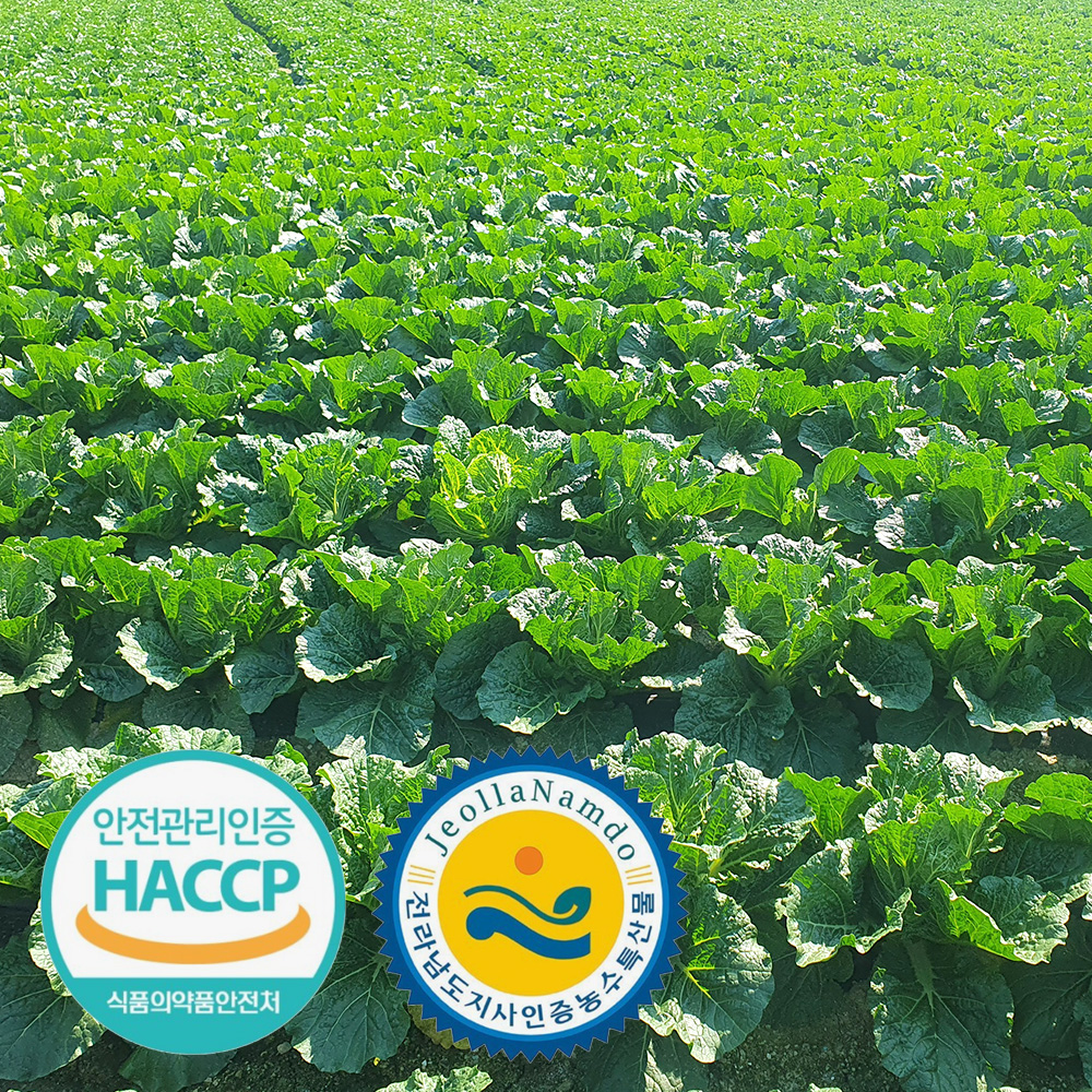 [예약배송] 3개인증 GAP HACCP 전남도지사인증 직접 기른 해남 절임배추 20kg 국내산 천일염 7-10포기