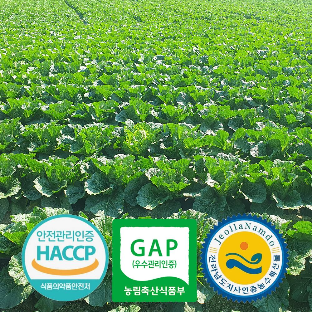 [예약배송] 3개인증 GAP HACCP 전남도지사인증 직접 기른 해남 절임배추 20kg 국내산 천일염 7-10포기