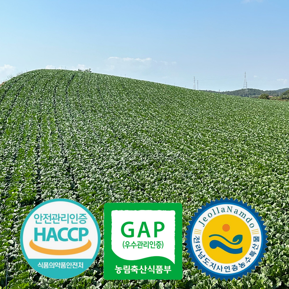 [예약배송] 3개인증 GAP HACCP 전남도지사인증 직접 기른 해남 절임배추 20kg 국내산 천일염 7-10포기