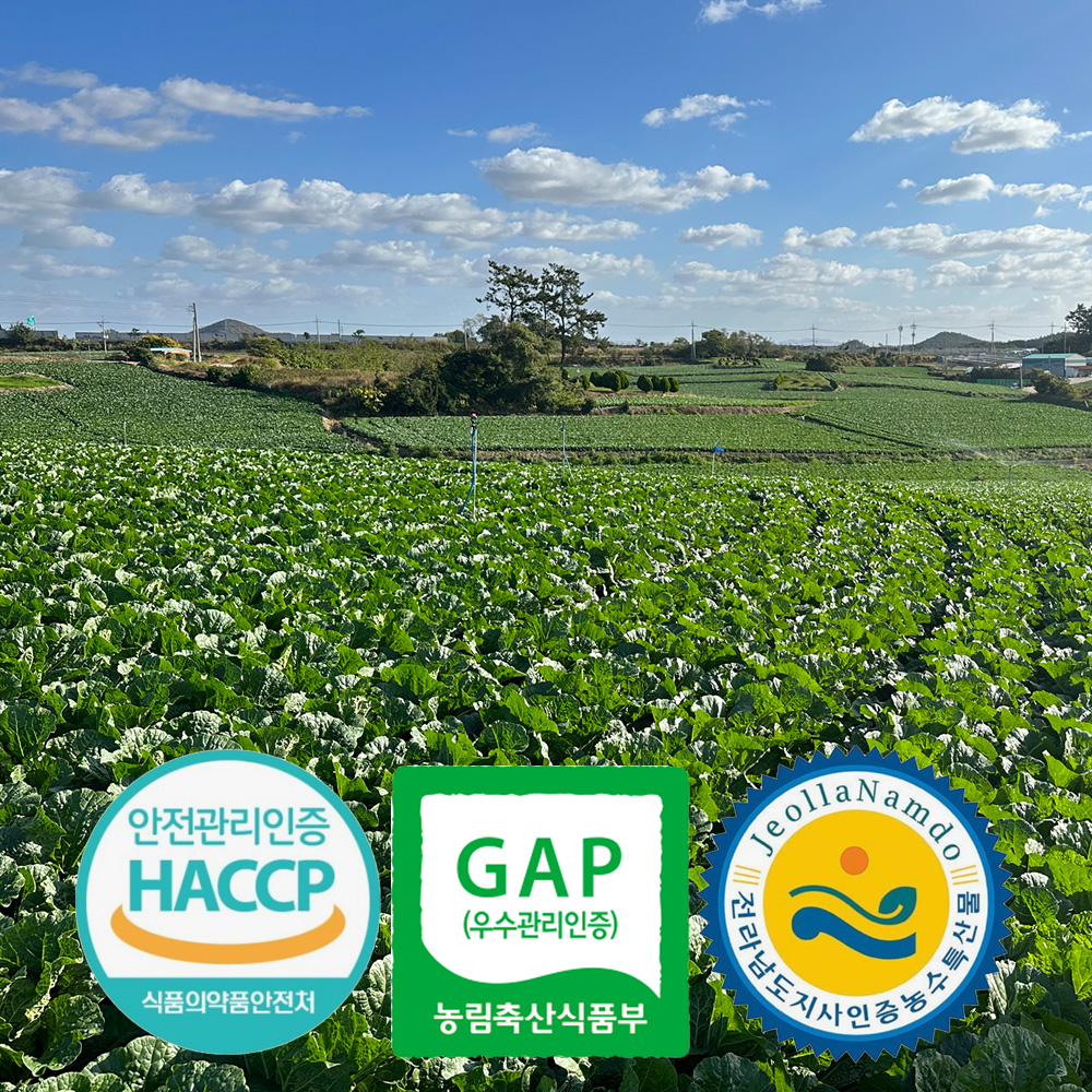 [예약배송] 3개인증 GAP HACCP 전남도지사인증 직접 기른 해남 절임배추 20kg 국내산 천일염 7-10포기