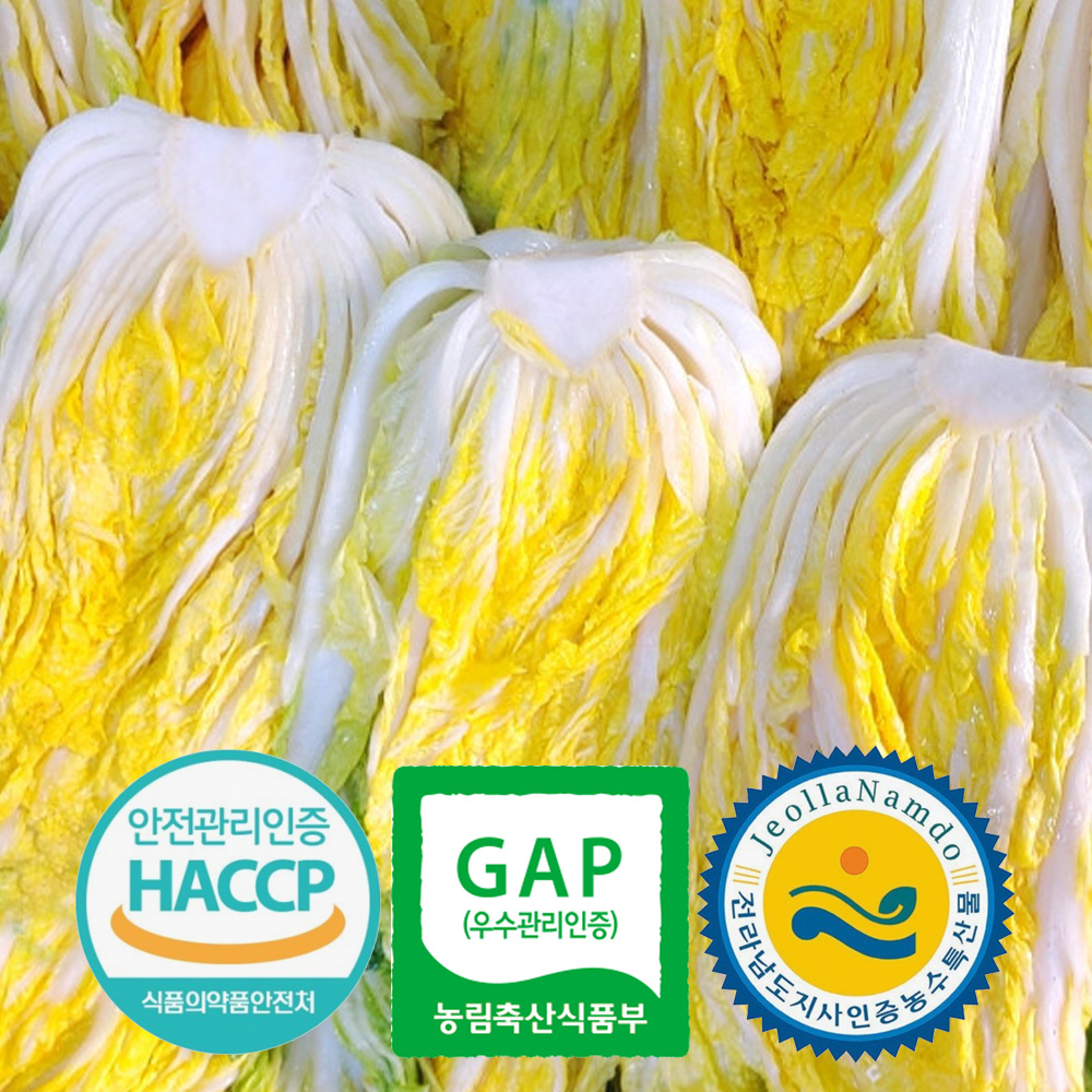 [예약배송] 3개인증 GAP HACCP 전남도지사인증 직접 기른 해남 절임배추 20kg 국내산 천일염 7-10포기 대표이미지 섬네일