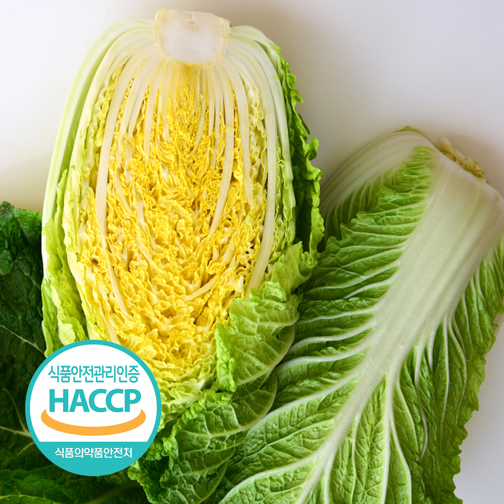 [예약판매] 해썹인증 강원도 절임 배추 10kg 대표이미지 섬네일
