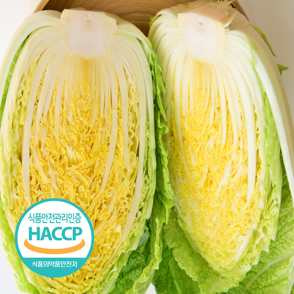 [예약판매] 해썹인증 해남 절임 배추 10kg 35포기 땅끝 절인 김장 김치 무료배송 대표이미지 섬네일