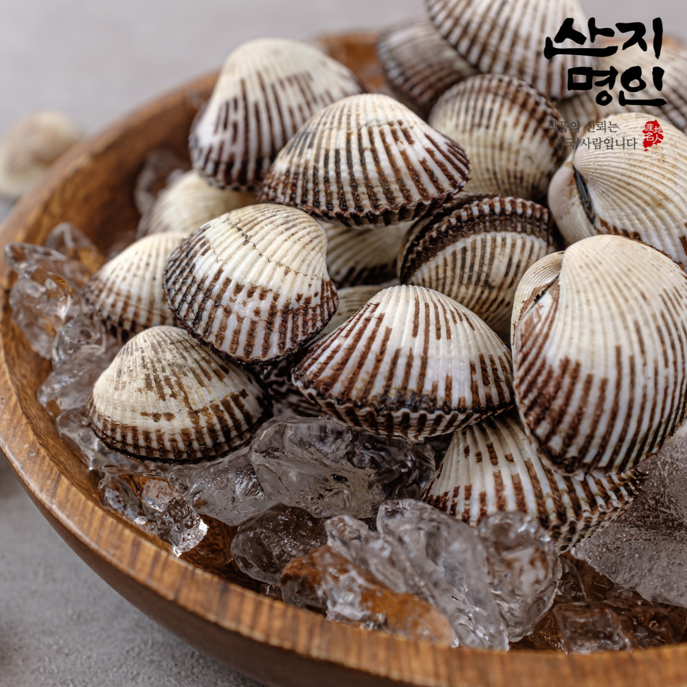 [산지명인] 당일채취 산지직송 벌교 새꼬막 피꼬막 1kg