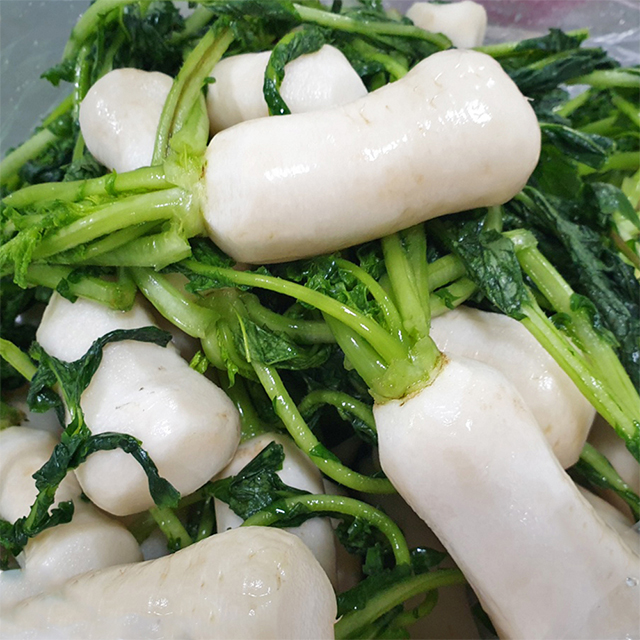 100% 국내산 고랭지 절임알타리,양념 대표이미지 섬네일