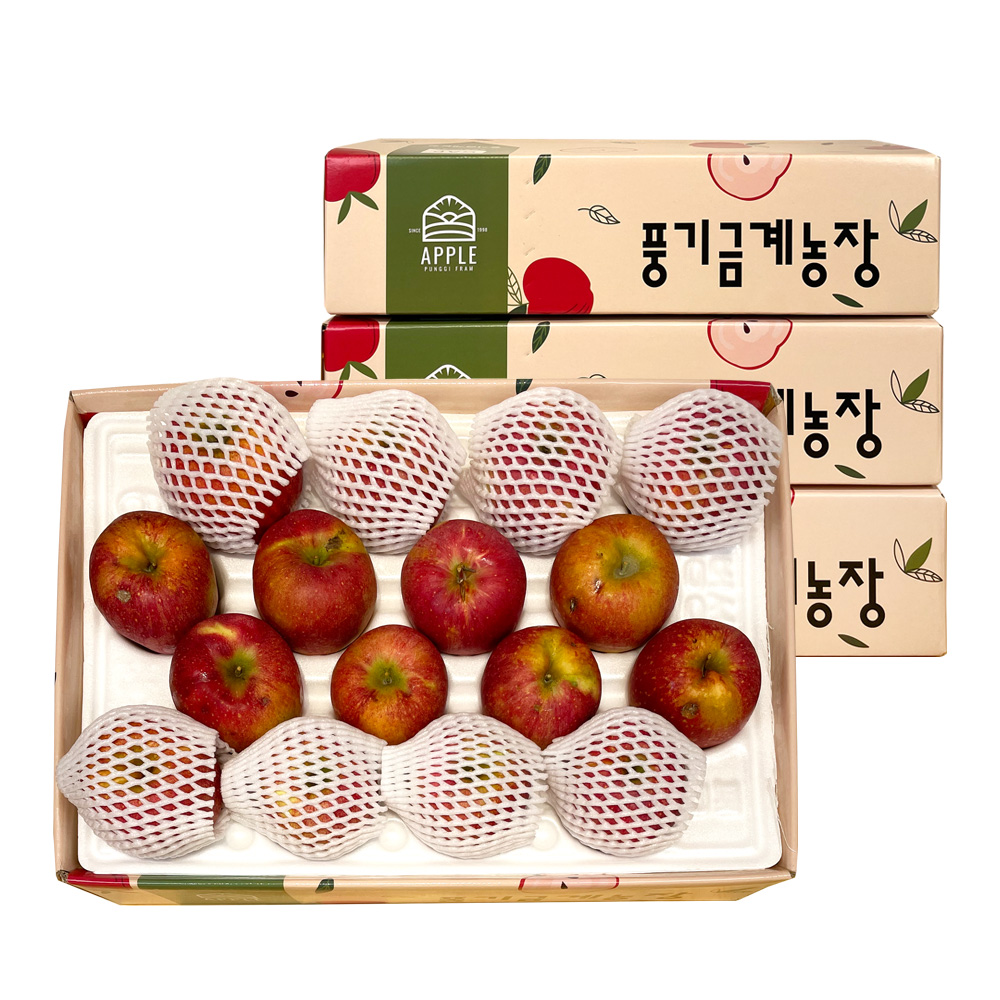 경북 영주 감홍 가정용 사과 2kg/5kg