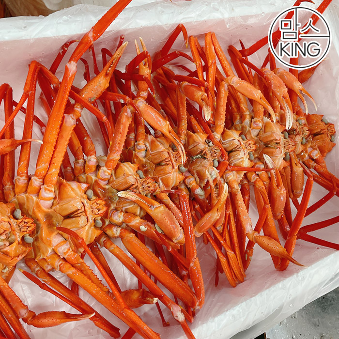[맘스킹]정성씨푸드 국내산홍게 3KG(7-11미)