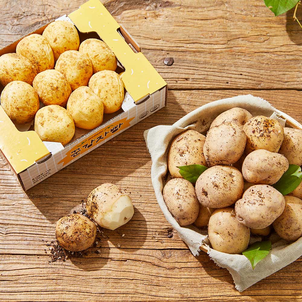 빵 1개당 감자 1개이상! 진짜 리얼 감자빵 (100g x 10개)