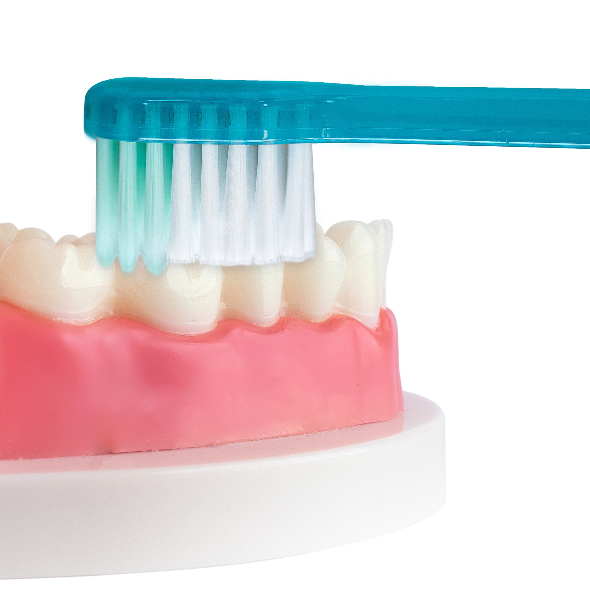 기프티스트 딥케어 칫솔