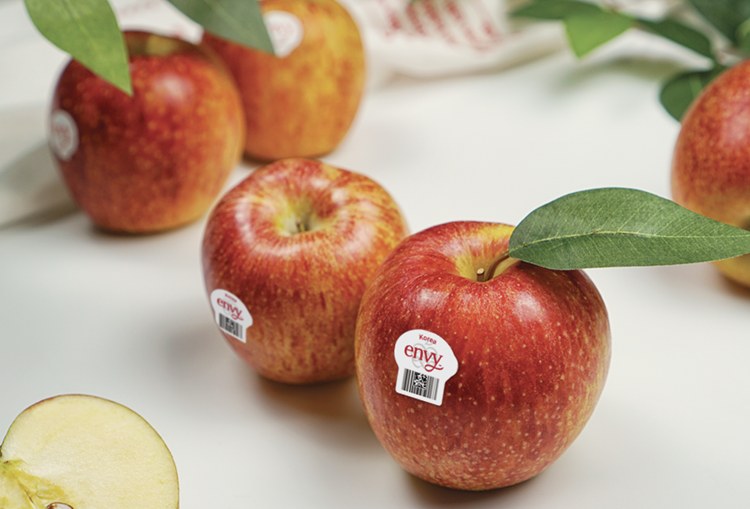 국산 명품사과 엔비사과 생과 초고당도 정품인증 앤비사과