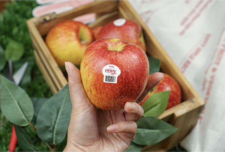 국산 명품사과 엔비사과 생과 초고당도 정품인증 앤비사과