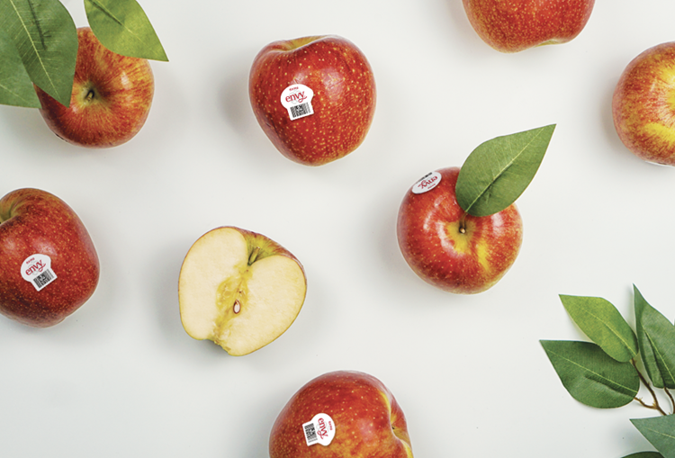 국산 명품사과 엔비사과 생과 초고당도 정품인증 앤비사과