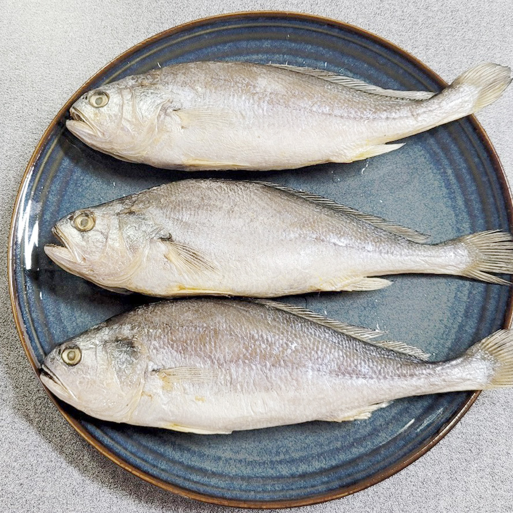 반건조 부세조기 3미 한팩 (손질 전 중량 349g 내외) 부세굴비 / 전남목포