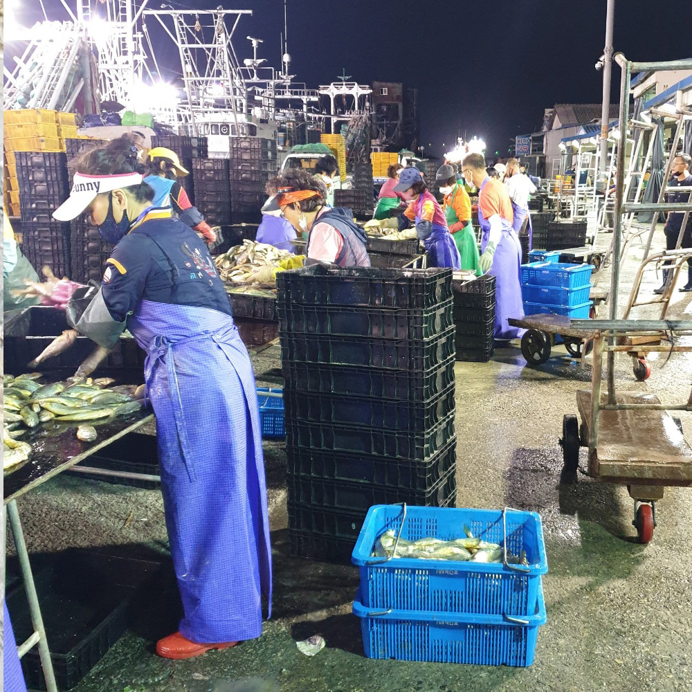 자연산 흑산도 홍어 250g / 500g (양념장포함) (약한숙성, 중간숙성, 강한숙성) / 전남목포