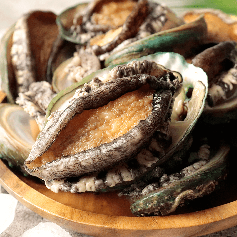 국내산 완도 활 전복 1KG 고품질 살아있는 특대 꼬마 전복 당일채취 대표보양식