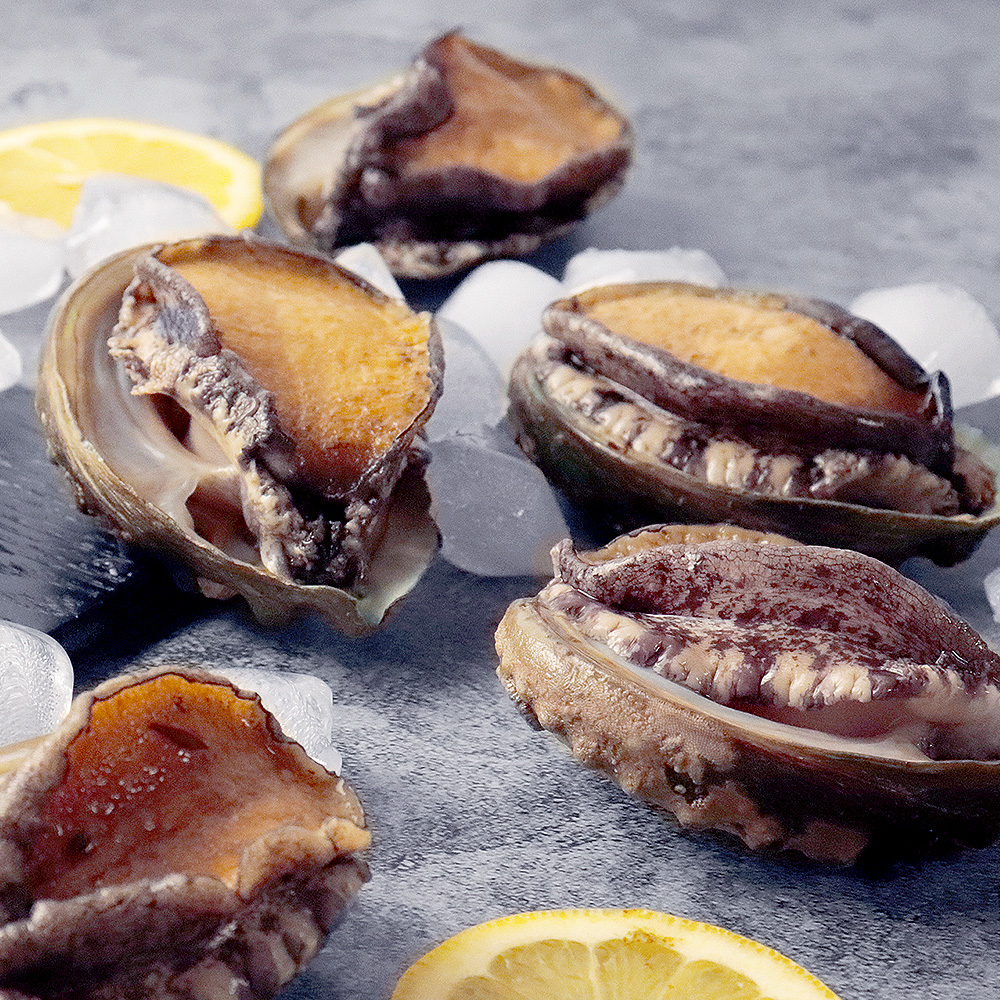 국내산 완도 활 전복 1KG 고품질 살아있는 특대 꼬마 전복 당일채취 대표보양식