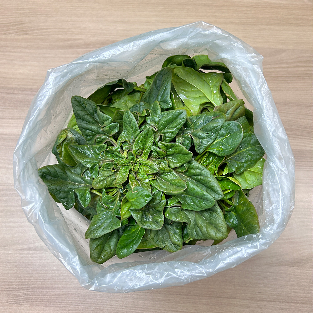 남해 해풍맞은 노지 월동 시금치 1kg 무료배송 보물초