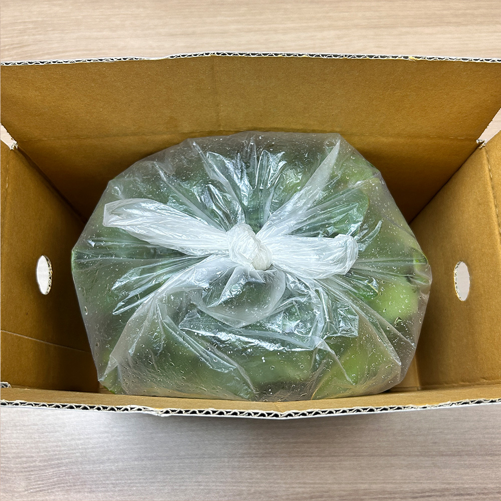 남해 해풍맞은 노지 월동 시금치 1kg 무료배송 보물초