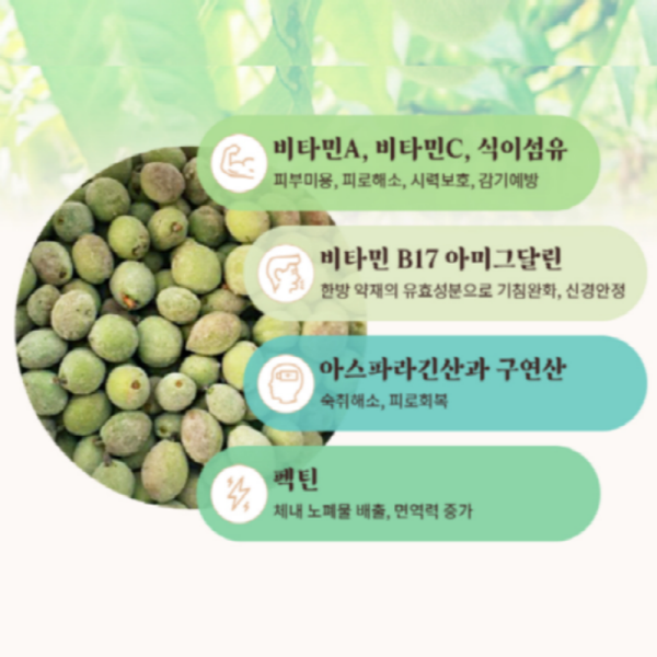[실속형]천수인 야생 개복숭아 발효 엑기스 스틱