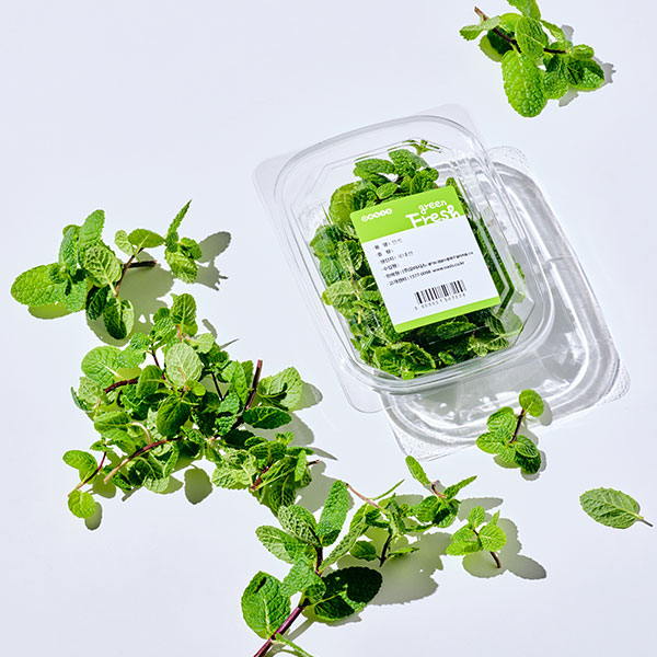 국내산 애플민트 대표이미지 섬네일