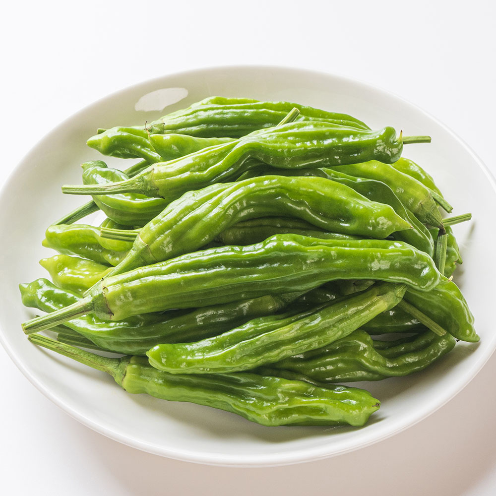 국내산 볶음 조림용 꽈리고추 상급 500g-5kg 대표이미지 섬네일