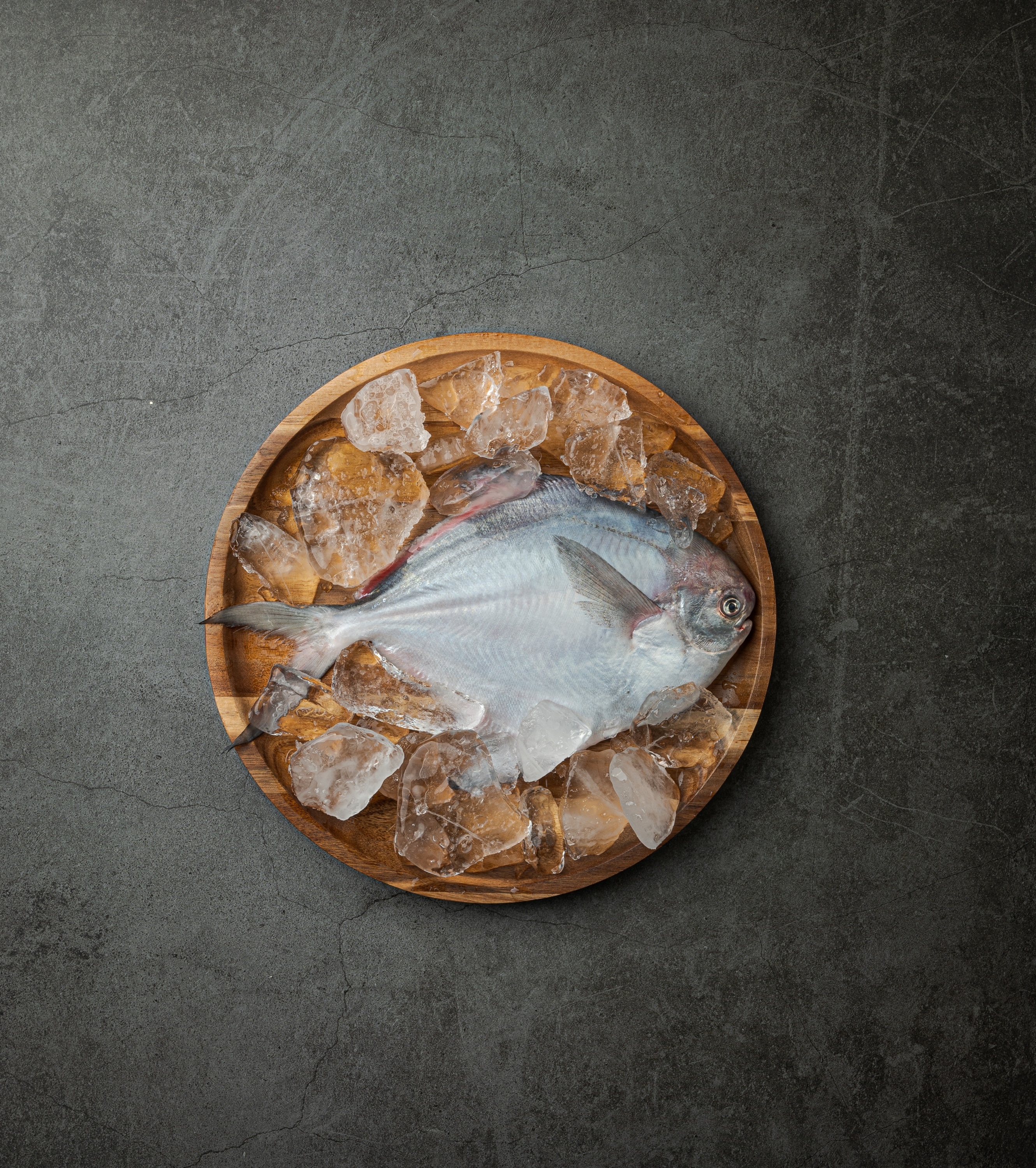 목포 산지직송 생물 병치 병어 제철 횟감 (250g 내외,300g 내외,350g 내외)