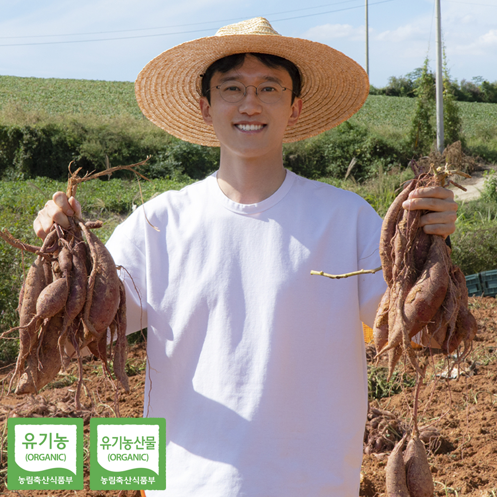 유기농 고구마 영암 꿀고구마 밤고구마 세척 베니하루카 3kg 5kg 대표이미지 섬네일