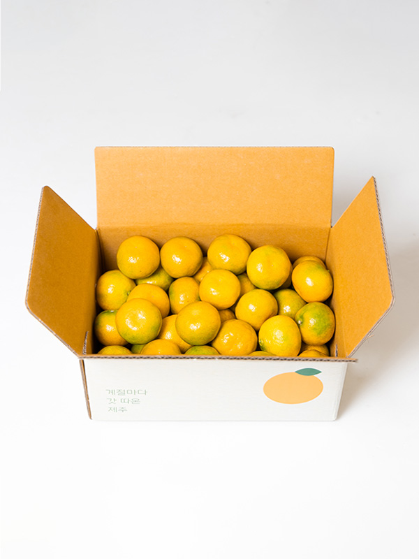 제주 노지감귤(1.5kg/꼬마과)