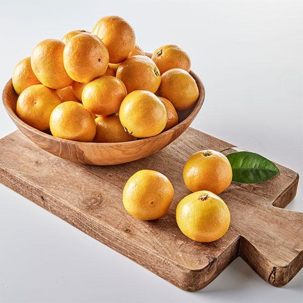제주 노지감귤(1.5kg/꼬마과)