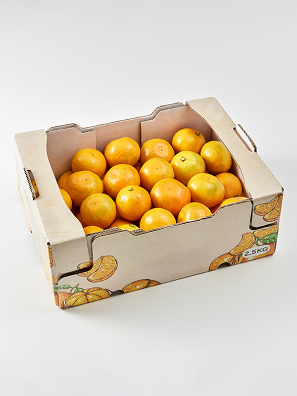 제주 노지감귤(2.5kg/로얄과)