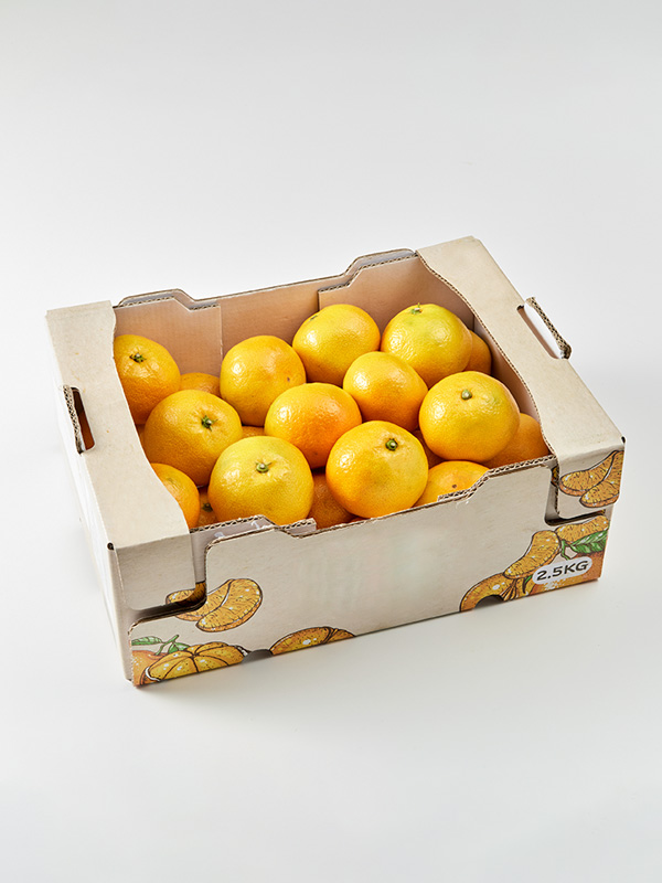 제주 노지감귤(2.5kg/대과)