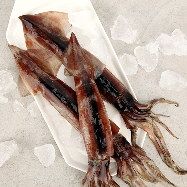 [보령수협] 초코오징어 10미/3kg내외